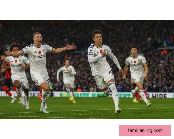 布莱克浦俱乐部最新动态揭示球队未来发展动向与阵容调整趋势前景