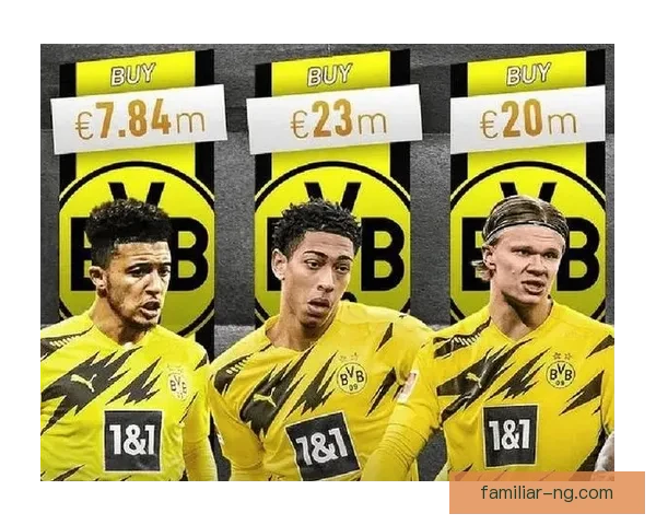 普鲁士多特蒙德夏窗引援布局与欧冠前景分析全面解读球队新赛季战略蓝图