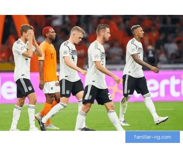 国王队新赛季备战全面启动 引援策略引发球迷热议